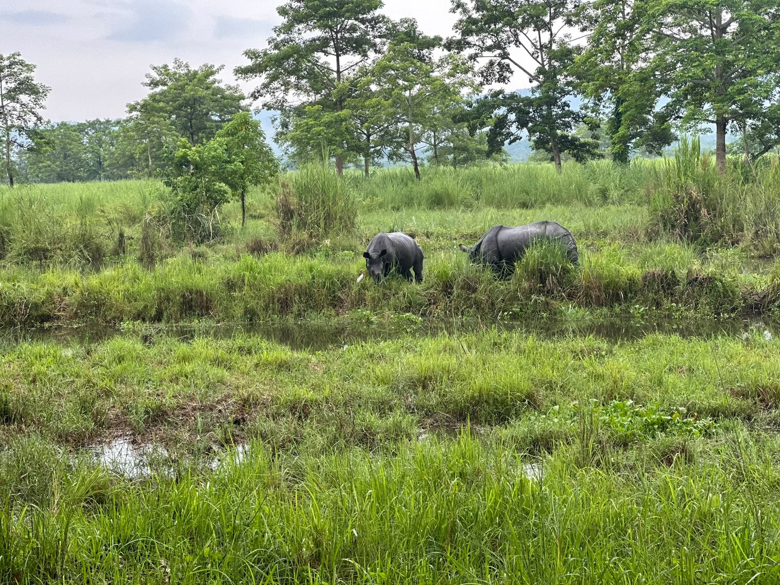 Chitwan Wilderness Escape